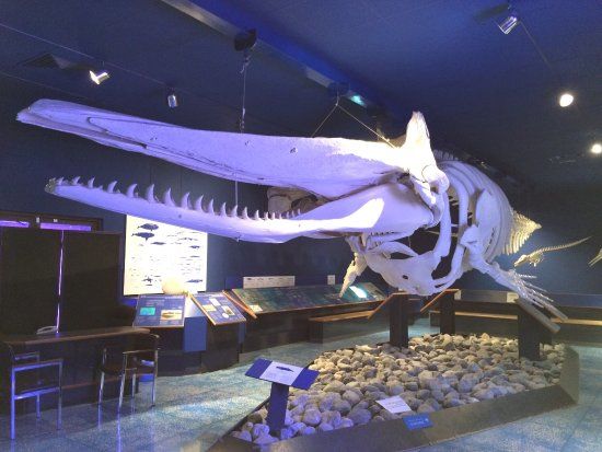 Museo di Storia Naturale dell'Oman